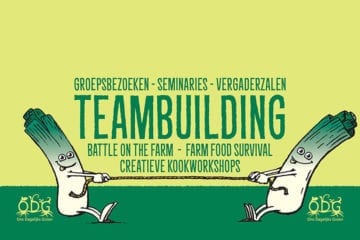 Teambuilding & survival